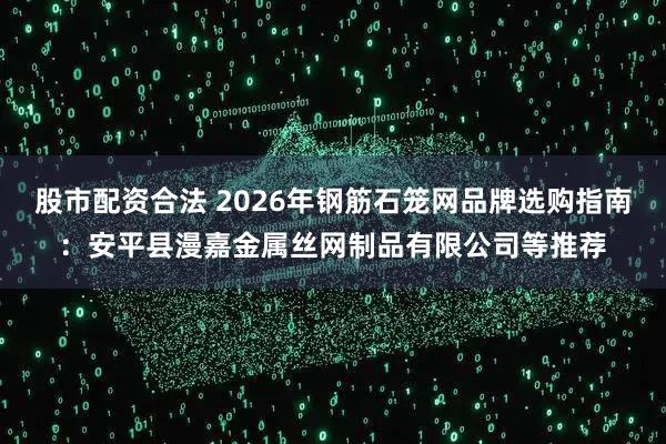 股市配资合法 2026年钢筋石笼网品牌选购指南：安平县漫嘉金属丝网制品有限公司等推荐