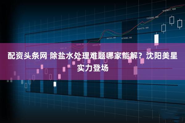 配资头条网 除盐水处理难题哪家能解？沈阳美星实力登场