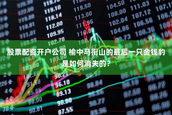 股票配资开户公司 榆中马衔山的最后一只金钱豹是如何消失的？